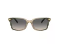 Coach Cr630 HC 8398U 5797G9 54 Occhiali da Sole