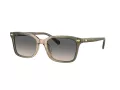 Coach Cr630 HC 8398U 5797G9 54 Occhiali da Sole
