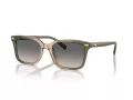 Coach Cr630 HC 8398U 5797G9 54 Occhiali da Sole