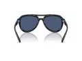 Coach Cw183 HC 8406U 500287 55 Occhiali da Sole