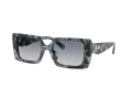 Coach Cw224 HC 8409U 584535 53 Occhiali da Sole