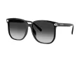 Coach Cw419 HC 8413BD 50023C 58 Occhiali da Sole