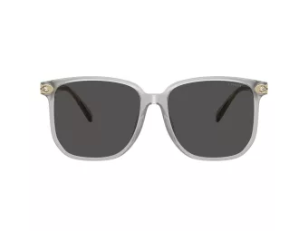 Coach Cw419 HC 8413BD 561487 58 Occhiali da Sole