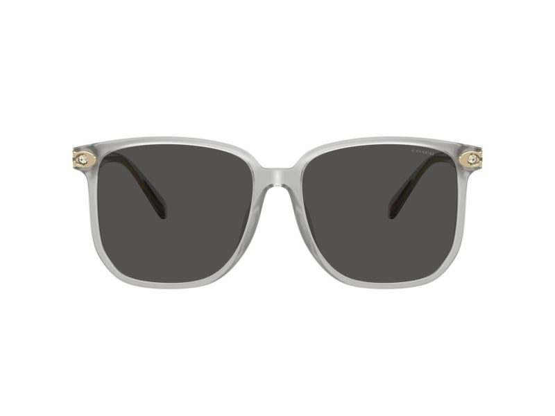 Coach Cw419 HC 8413BD 561487 58 Occhiali da Sole