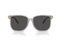 Coach Cw419 HC 8413BD 561487 58 Occhiali da Sole