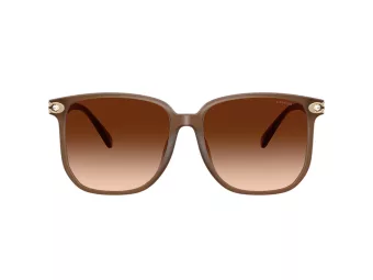 Coach Cw419 HC 8413BD 580874 58 Occhiali da Sole