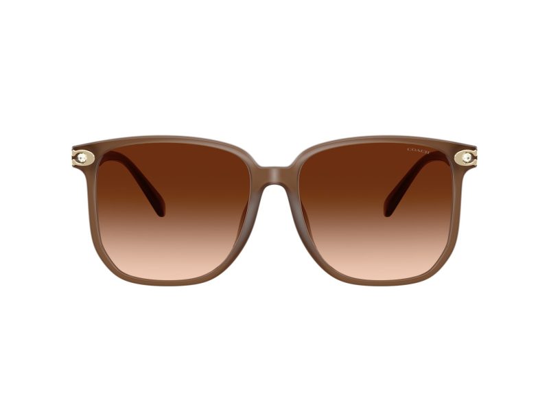 Coach Cw419 HC 8413BD 580874 58 Occhiali da Sole