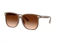 Coach Cw419 HC 8413BD 580874 58 Occhiali da Sole