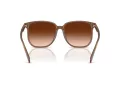 Coach Cw419 HC 8413BD 580874 58 Occhiali da Sole
