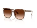 Coach Cw419 HC 8413BD 580874 58 Occhiali da Sole