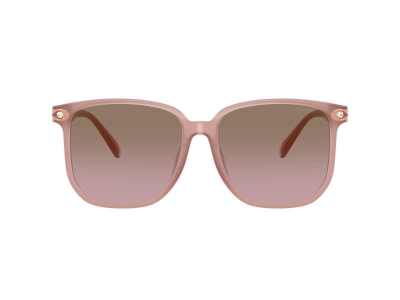 Coach Cw419 HC 8413BD 583914 58 Occhiali da Sole