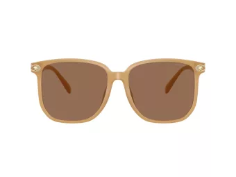 Coach Cw419 HC 8413BD 585473 58 Occhiali da Sole