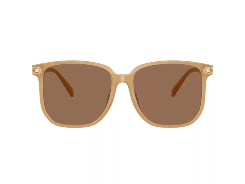 Coach Cw419 HC 8413BD 585473 58 Occhiali da Sole