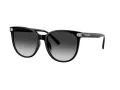 Coach Cw428 HC 8414BD 50023C 57 Occhiali da Sole