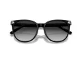 Coach Cw428 HC 8414BD 50023C 57 Occhiali da Sole
