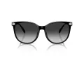 Coach Cw428 HC 8414BD 50023C 57 Occhiali da Sole