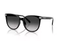 Coach Cw428 HC 8414BD 50023C 57 Occhiali da Sole