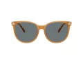 Coach Cw428 HC 8414BD 585580 57 Occhiali da Sole