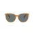 Coach Cw428 HC 8414BD 585580 57 Occhiali da Sole