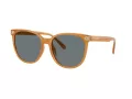 Coach Cw428 HC 8414BD 585580 57 Occhiali da Sole