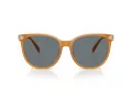 Coach Cw428 HC 8414BD 585580 57 Occhiali da Sole