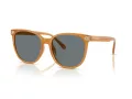 Coach Cw428 HC 8414BD 585580 57 Occhiali da Sole