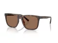 Coach Cae78 HC 8427U 512073 57 Occhiali da Sole