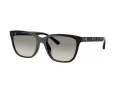 Coach Cae86 HC 8429D 50023C 56 Occhiali da Sole