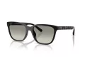 Coach Cae86 HC 8429D 50023C 56 Occhiali da Sole
