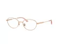 Jimmy Choo JC 2009D 3008 51 occhiali da vista
