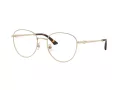 Jimmy Choo JC 2013HD 3006 54 occhiali da vista