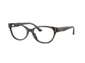 Jimmy Choo JC 3003BU 5002 52 occhiali da vista