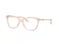Jimmy Choo JC 3007HB 5034 54 occhiali da vista