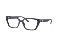 Jimmy Choo JC 3008 5016 55 occhiali da vista