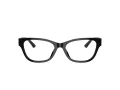 Jimmy Choo JC 3010U 5017 54 occhiali da vista