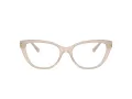 Jimmy Choo JC 3011 5025 54 occhiali da vista