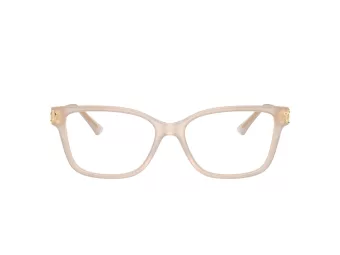Jimmy Choo JC 3012 5025 53 occhiali da vista