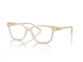 Jimmy Choo JC 3012 5025 53 occhiali da vista