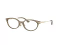 Jimmy Choo JC 3029D 5051 52 occhiali da vista
