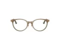 Jimmy Choo JC 3039D 5051 48 occhiali da vista