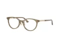 Jimmy Choo JC 3039D 5051 48 occhiali da vista