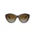 Jimmy Choo JC 5007 5002T5 55 Occhiali da Sole