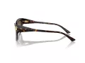 Jimmy Choo JC 5011U 500273 55 Occhiali da Sole