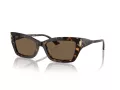 Jimmy Choo JC 5011U 500273 55 Occhiali da Sole