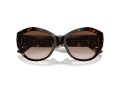 Jimmy Choo JC 5013U 500213 55 Occhiali da Sole