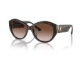 Jimmy Choo JC 5013U 500213 55 Occhiali da Sole