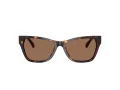 Jimmy Choo JC 5024HU 500273 55 Occhiali da Sole