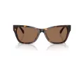 Jimmy Choo JC 5024HU 500273 55 Occhiali da Sole