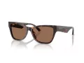 Jimmy Choo JC 5024HU 500273 55 Occhiali da Sole