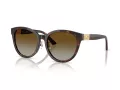 Jimmy Choo JC 5032D 5002T5 55 Occhiali da Sole
